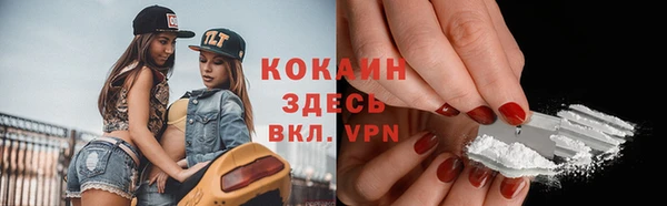 стаф Няндома
