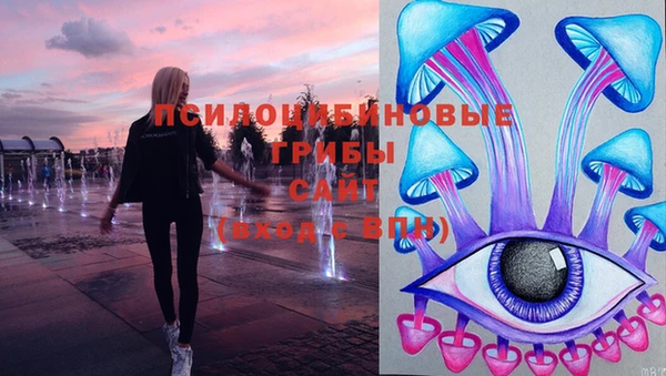 стаф Няндома