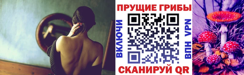Псилоцибиновые грибы Psilocybine cubensis  Купить  Осинники 